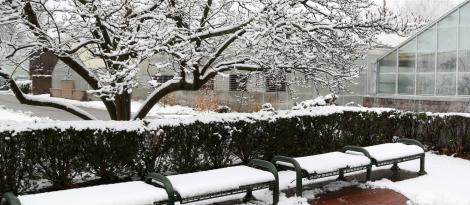 Wintery Rockefeller Garden